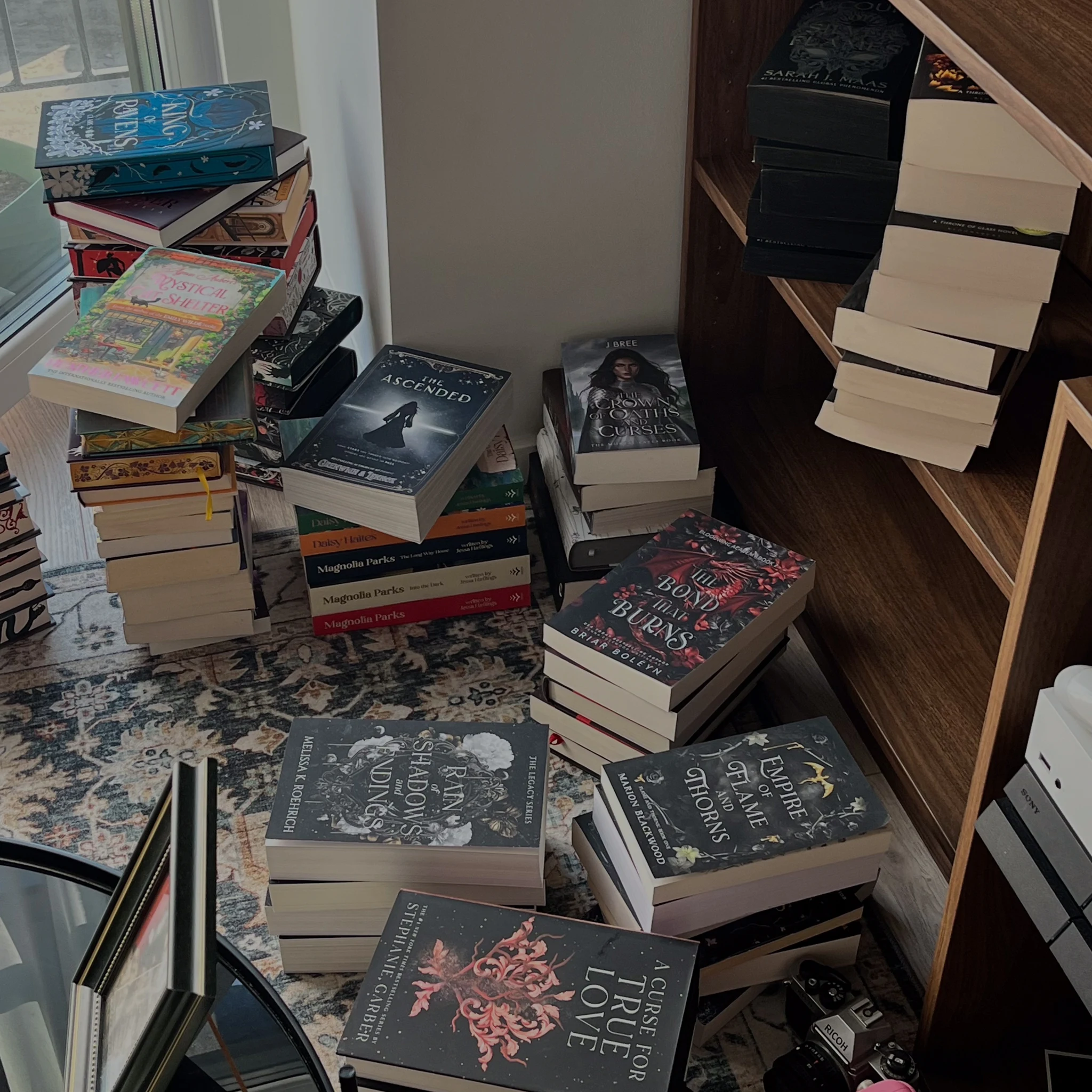 Book content, photo 5