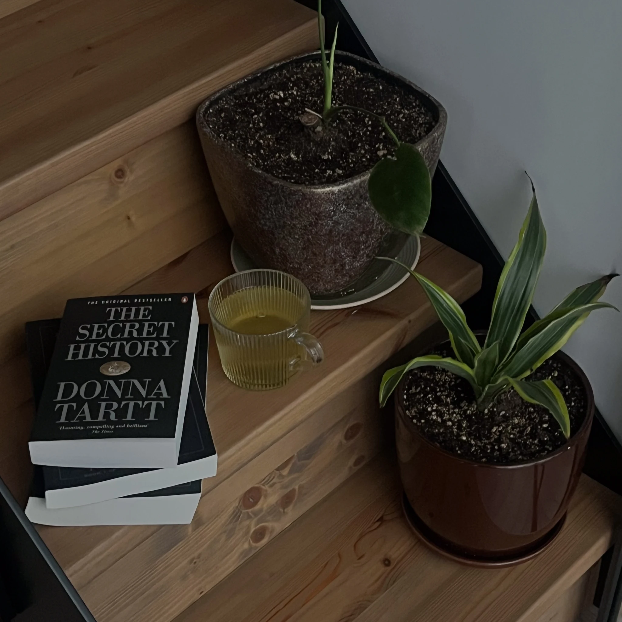 Book content, photo 8